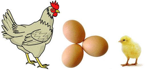 aves huevos pollitos