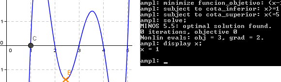 Programación No Lineal no Convexo