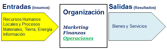 El Proceso de Transformación de Insumos en Productos o Servicios