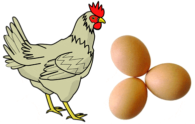 ave y huevo